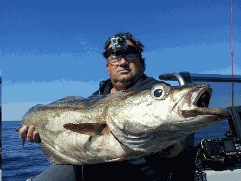 Astufish